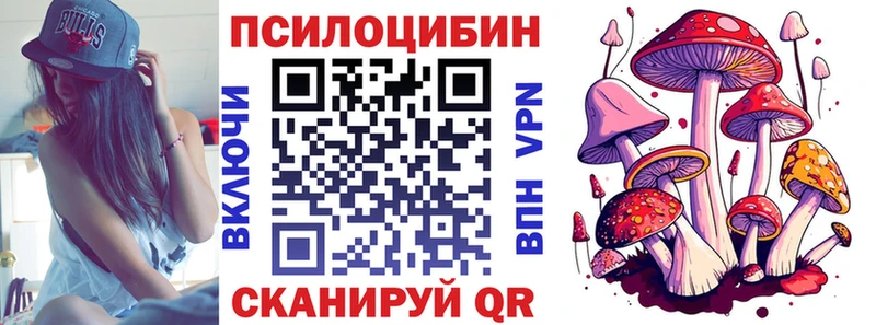 Галлюциногенные грибы Psilocybe  где найти   мега ССЫЛКА  Обнинск 